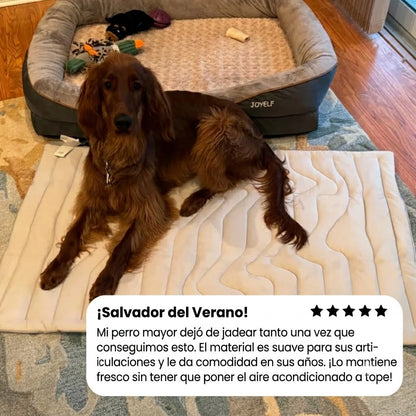 BRISA COOL™ esterilla refrescante para perros.