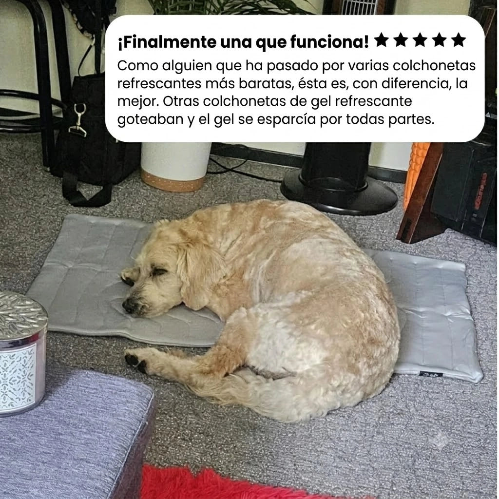 BRISA COOL™ esterilla refrescante para perros.