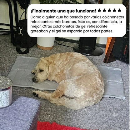 BRISA COOL™ esterilla refrescante para perros.