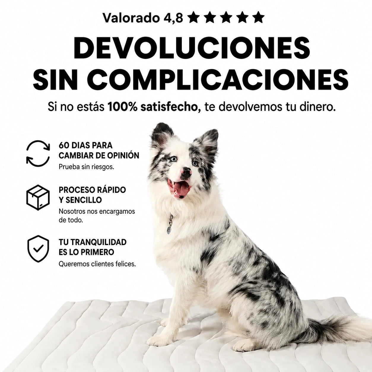 BRISA COOL™ esterilla refrescante para perros.