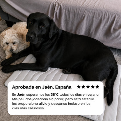 BRISA COOL™ esterilla refrescante para perros.
