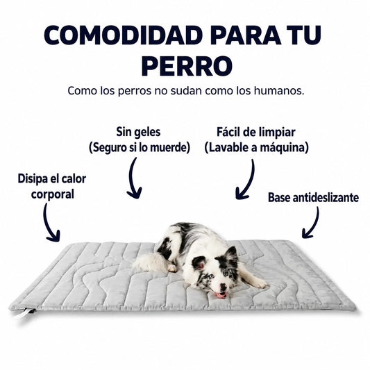 BRISA COOL™ esterilla refrescante para perros.